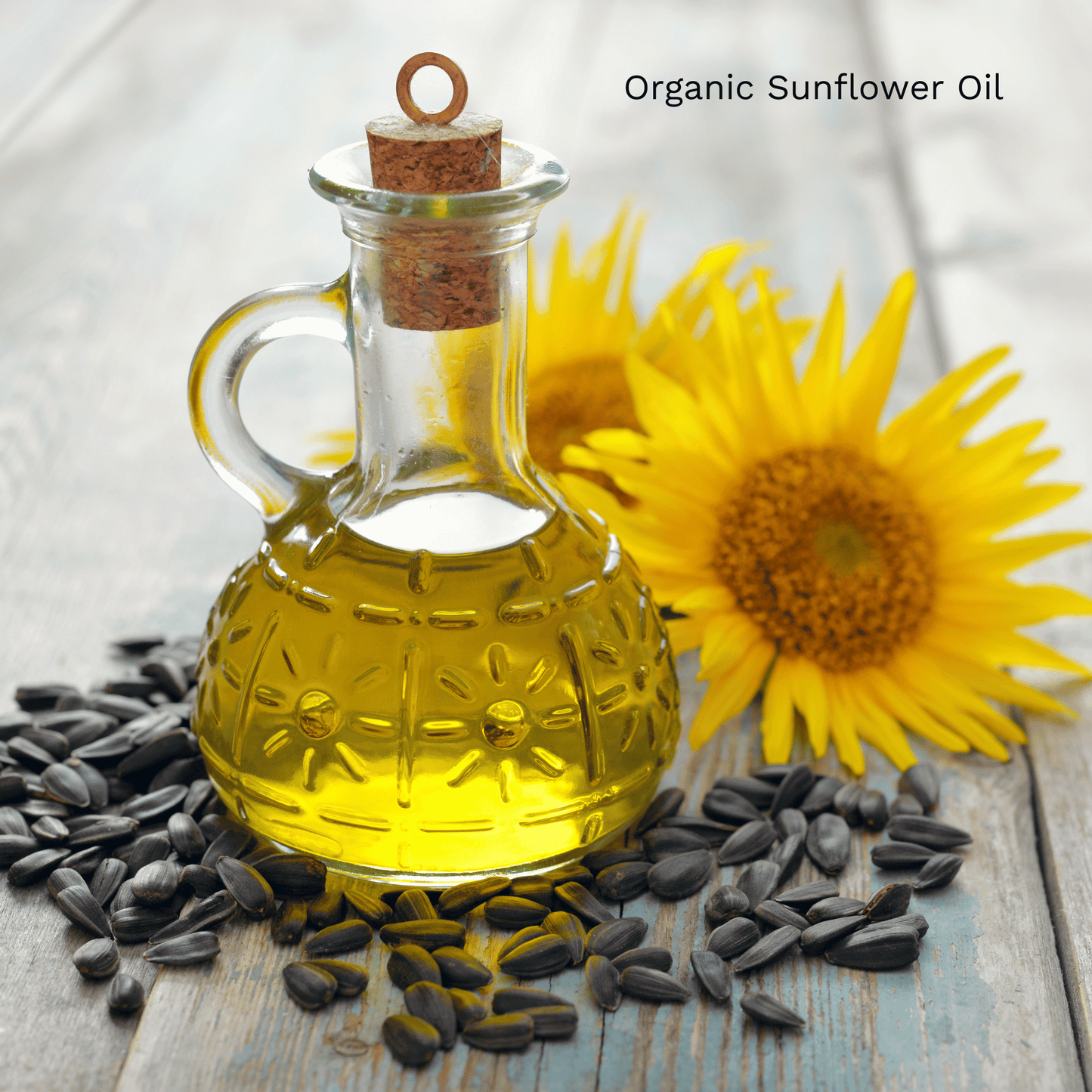 Body Oil Trial